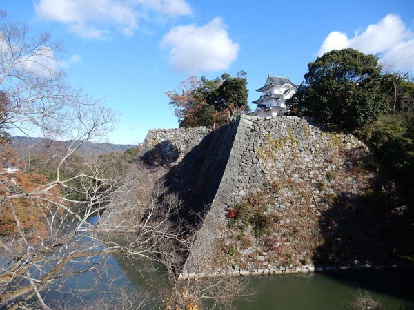 【新千歳空港発】 《歴史・城郭めぐり》おも城ガイド同行! 築城の名手 藤堂高虎が手がけた名城めぐり ~東海・近畿編~(3日間)1
